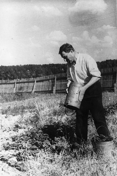 1946 Boris working in the vegetable garden of his dacha at Peredelkino